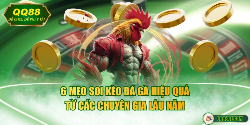 Luật Đá Gà Cựa Dao Chuẩn Quốc Tế Áp Dụng Cho Mọi Sới 4 6 mẹo soi kèo đá gà hiệu quả từ các chuyên gia lâu năm