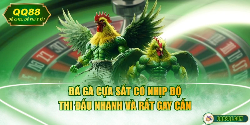 Đá Gà Cựa Sắt - Mãn Nhãn Con Mắt Với Những Trận Đấu Rực Lửa 2 Đá gà cựa sắt có nhịp độ thi đấu nhanh và rất gay cấn