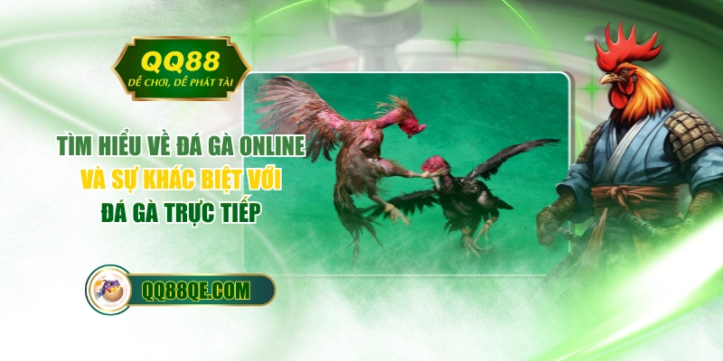 Tìm Hiểu Về Đá Gà Online Và Sự Khác Biệt Với Đá Gà Trực Tiếp 1 Tìm Hiểu Về Đá Gà Online Và Sự Khác Biệt Với Đá Gà Trực Tiếp